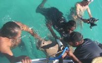 Rangers take a dive to help dugongs