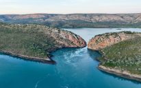 Expressions of Interest:  Dambimangari Country Tourism Advisory Committee